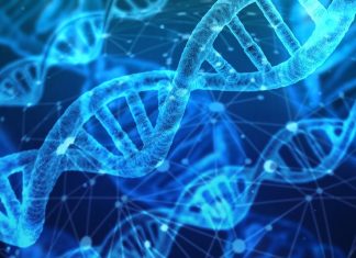 The Mechanics Of DNA Testing At Home