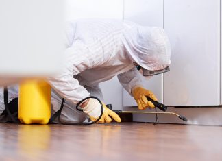 Combatting Household Pests: Finding Effective Solutions with Pest Control Services Near You