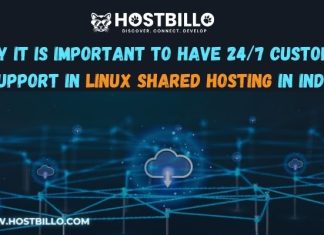 Why It Is Important to Have 24/7 Customer Support in Linux Shared Hosting in India