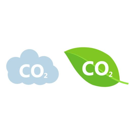 Effective Carbon Emissions Calculations in Green Building Certification